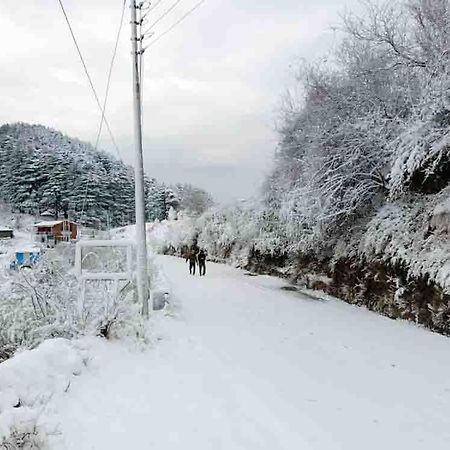 La Riqueza Dhanolti View # Near To Eco Park & Surkanda Devi Temple # Mountain View Rooms With Balcony # Big Parking # Customer Favourite Hotel Dhanaulti Zewnętrze zdjęcie