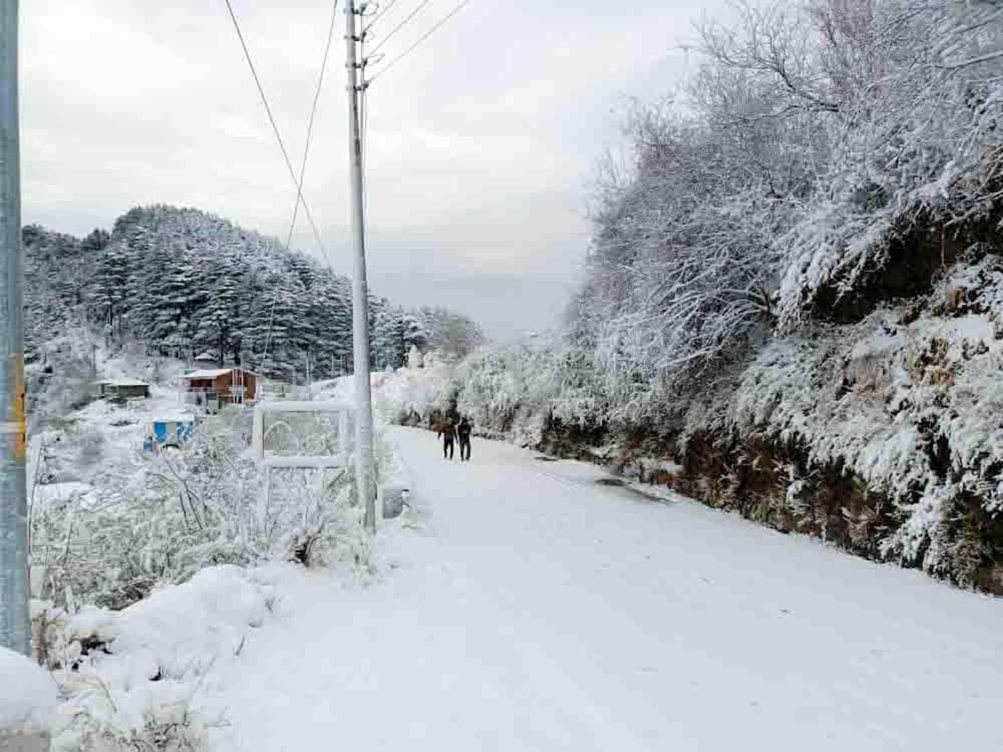 La Riqueza Dhanolti View # Near To Eco Park & Surkanda Devi Temple # Mountain View Rooms With Balcony # Big Parking # Customer Favourite Hotel Dhanaulti Zewnętrze zdjęcie