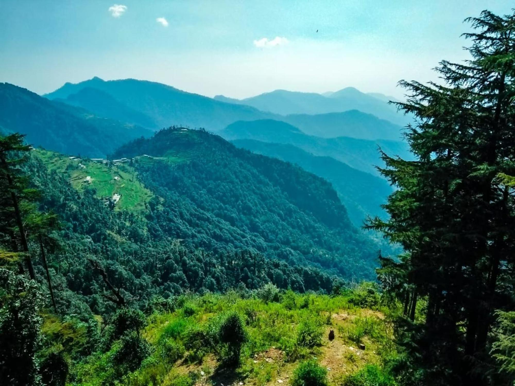 La Riqueza Dhanolti View # Near To Eco Park & Surkanda Devi Temple # Mountain View Rooms With Balcony # Big Parking # Customer Favourite Hotel Dhanaulti Zewnętrze zdjęcie